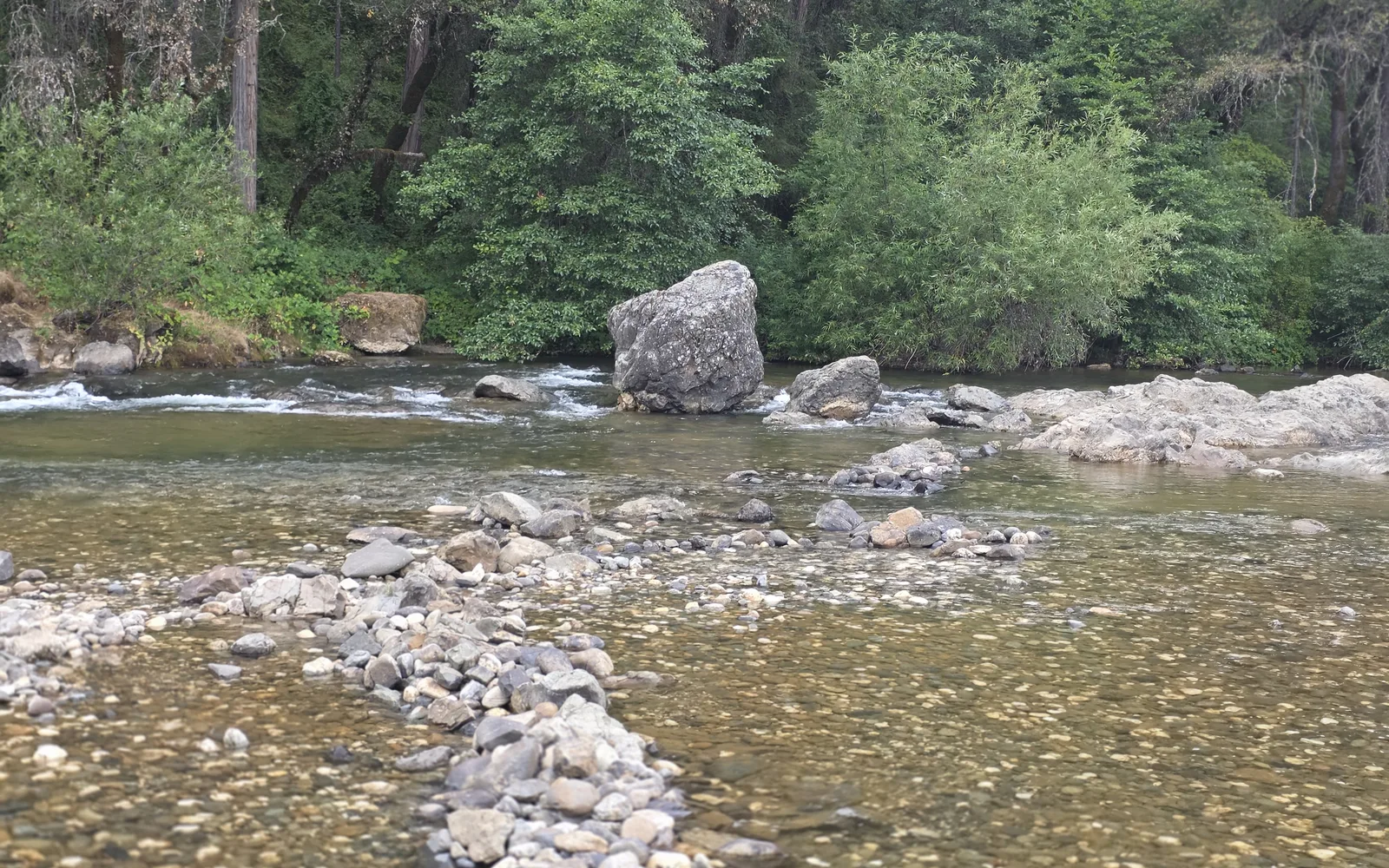 Bear River and park area with trees and natural landscape